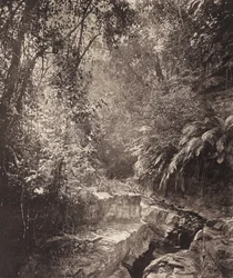 Ein Gebirgspass auf der Insel Formosa